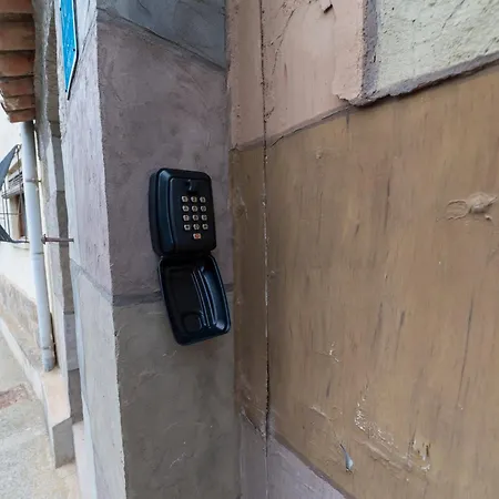 Gran Al Aire Libre En Grisel