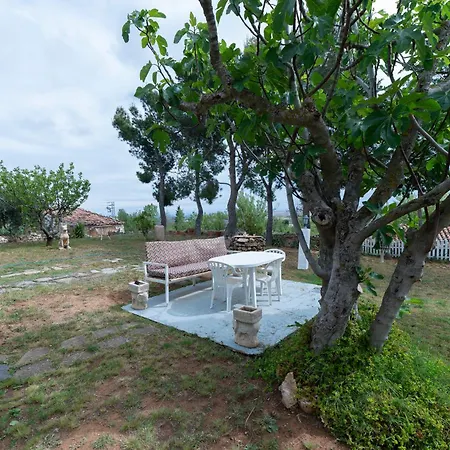 Hotel Gran Al Aire Libre En *