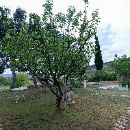 Gran Al Aire Libre En Hotel Grisel